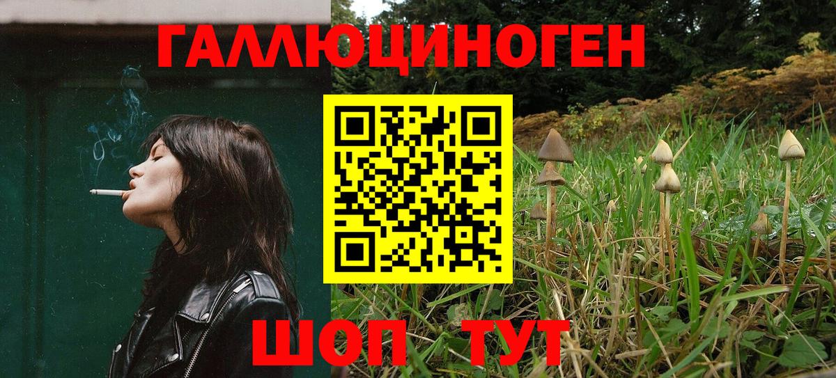 Галлюциногенные грибы мицелий  купить наркотики сайты  Луховицы  Вход с VPN  Псилоцибиновые грибы Psilocybe 